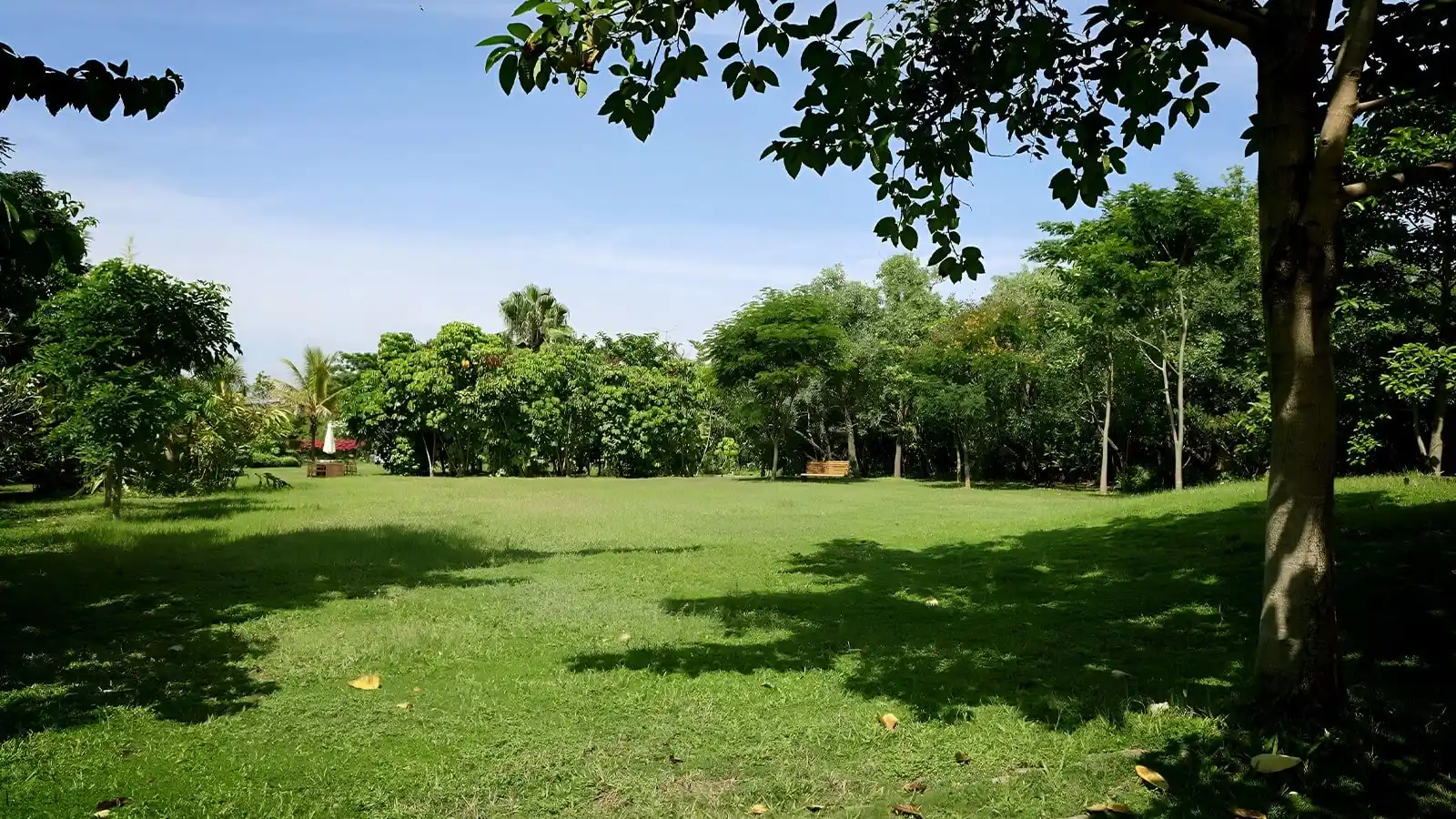 Frangipani-estates-villa-plots-in-sarjapur-road-bangalore-planned-landscaping