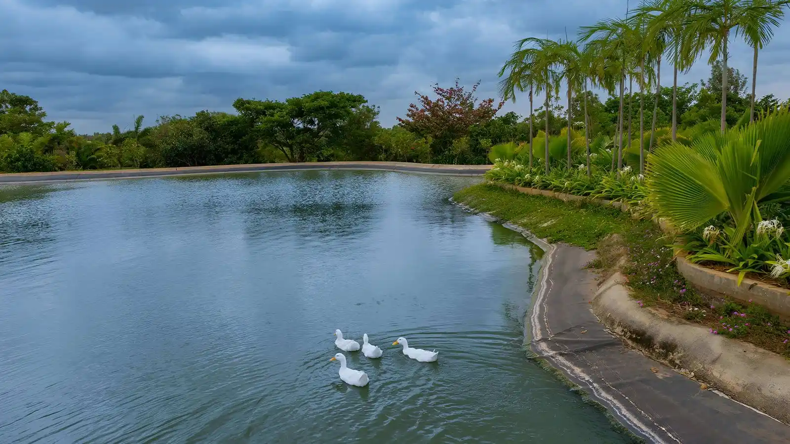 Frangipani-estates-villa-plots-in-sarjapur-road-bangalore