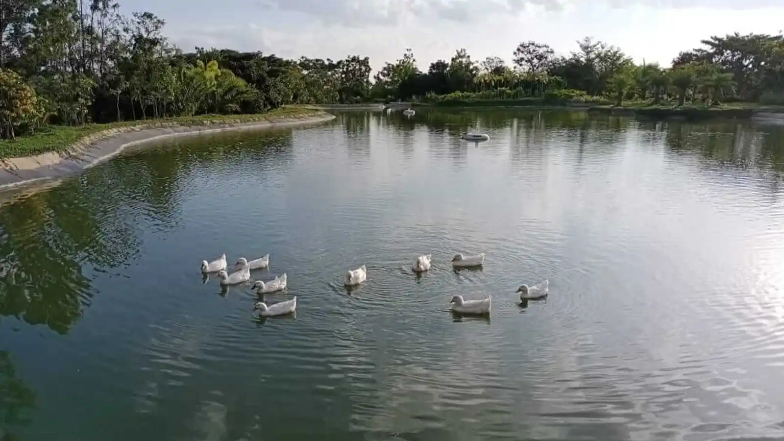 Frangipani-estates-villa-plots-in-sarjapur-road-bangalore