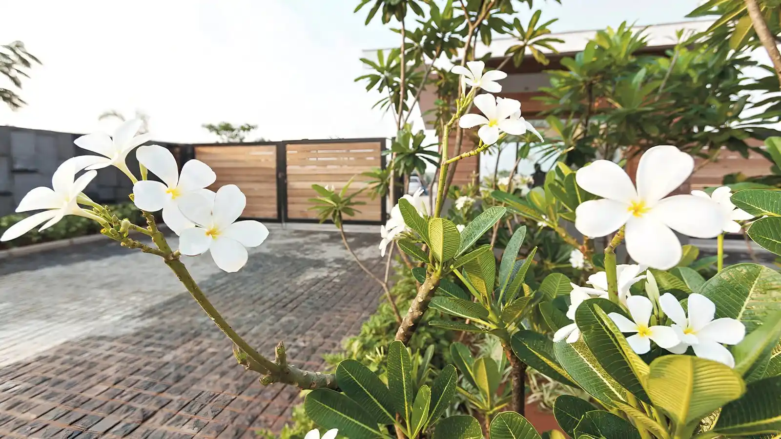 Frangipani-estates-villa-plots-in-sarjapur-road-bangalore