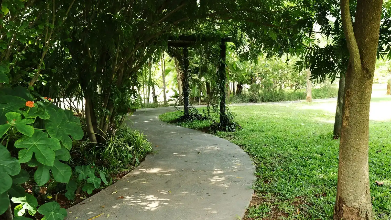 Frangipani-estates-villa-plots-in-sarjapur-road-bangalore-color-tree-garden