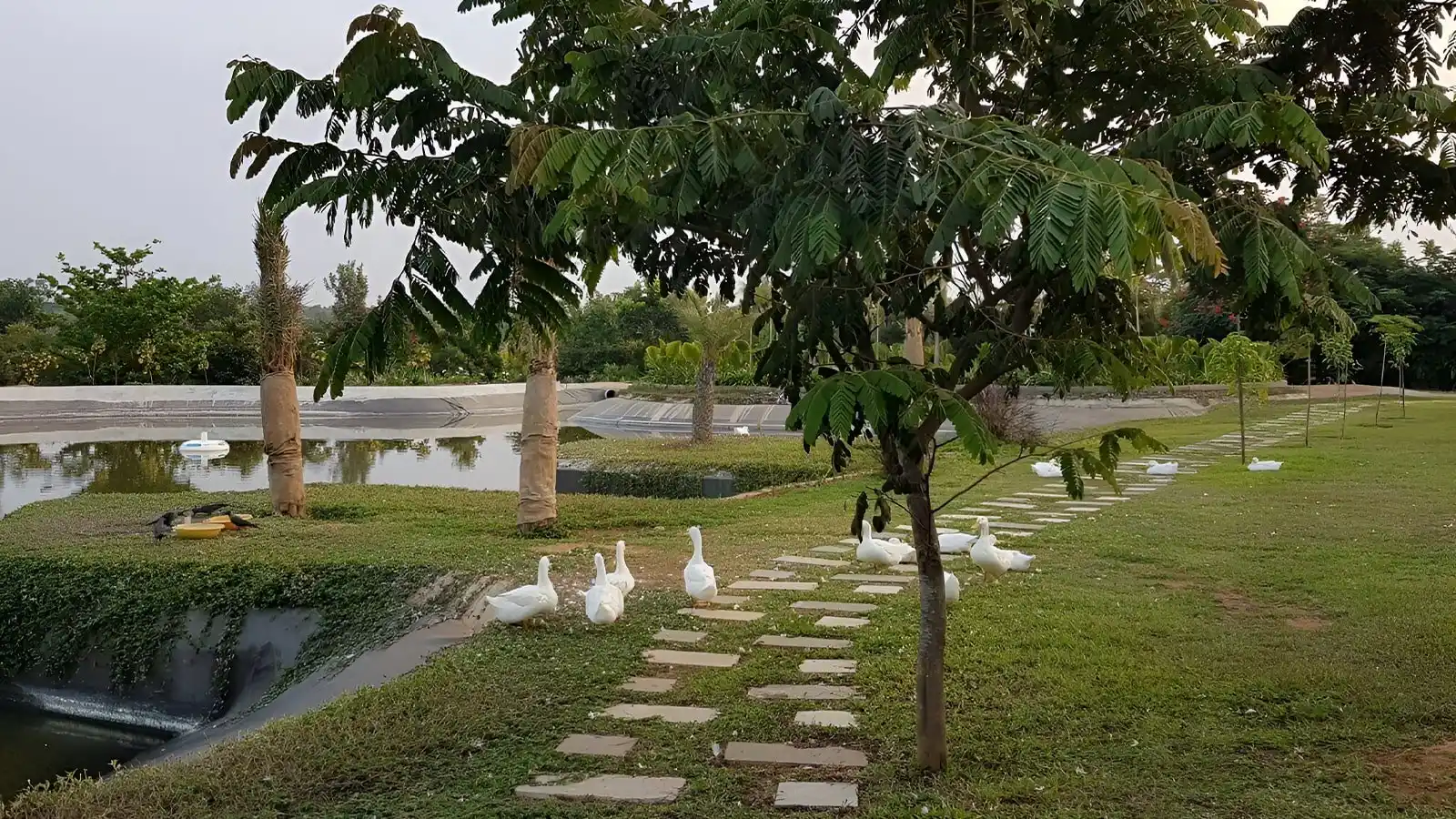 Frangipani-estates-villa-plots-in-sarjapur-road-bangalore