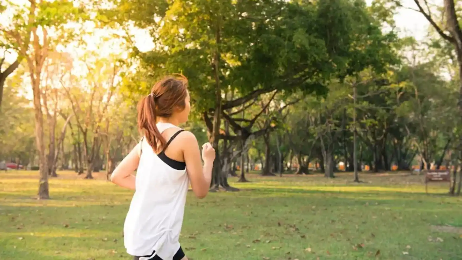 Assetz-Maeq-Jogging_Track-min