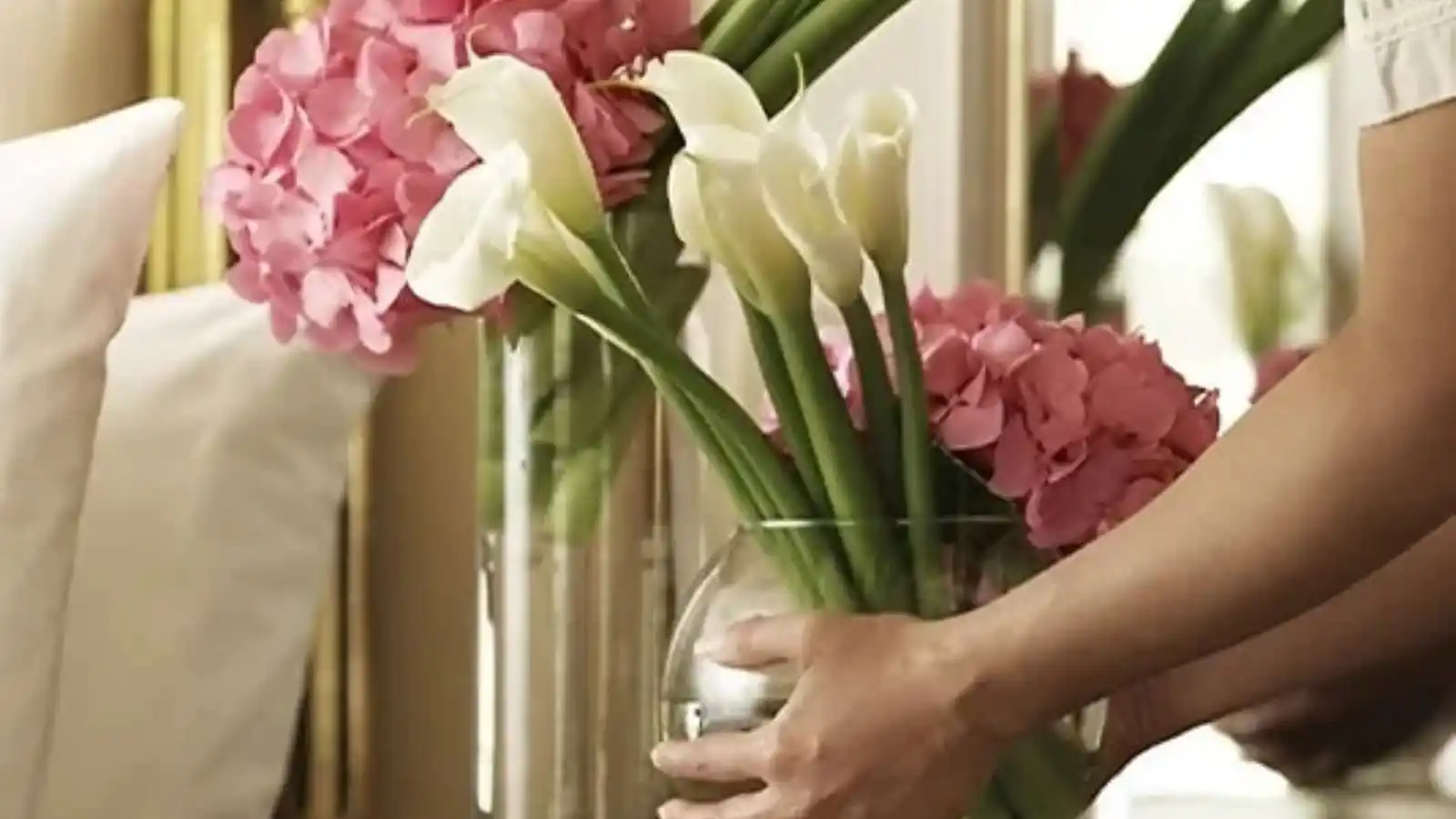 embassy-one-residences-apartment-in-north-central-bangalore-premium-service