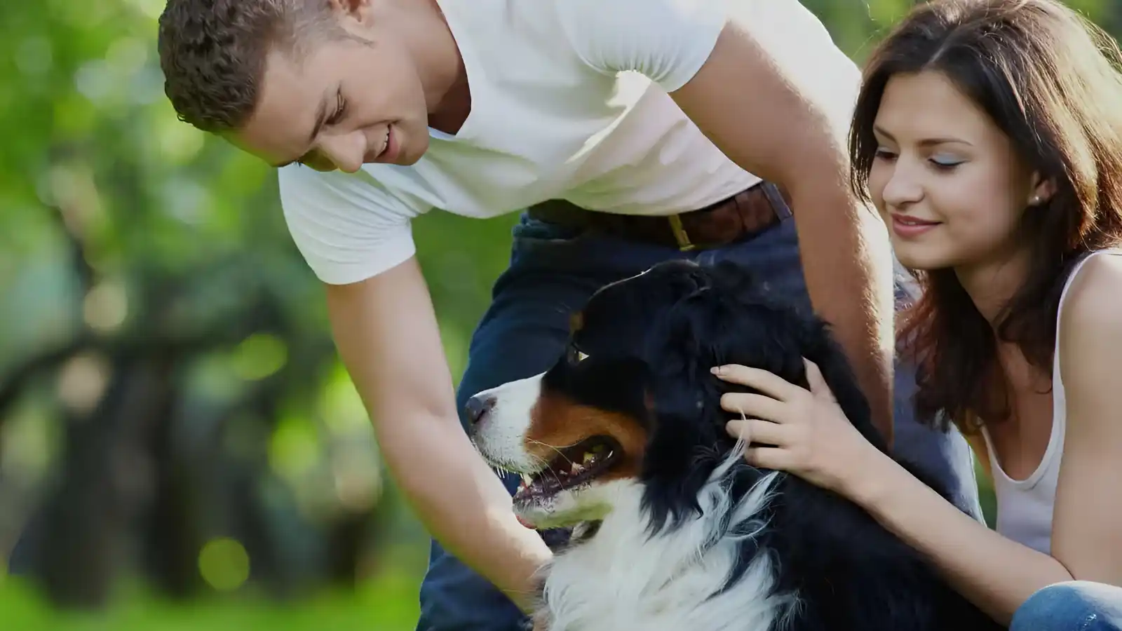 DNR-Parklink-home-family-time