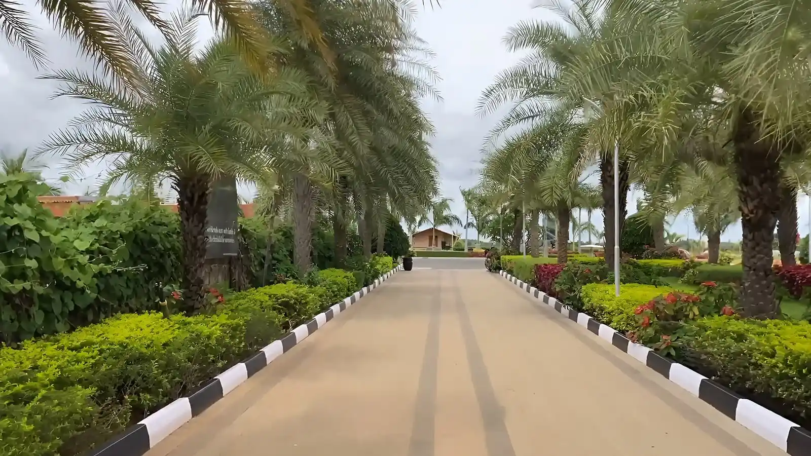 Sammys-Palm-Hills-Plots-in-North-Bangalore-Drive-Through