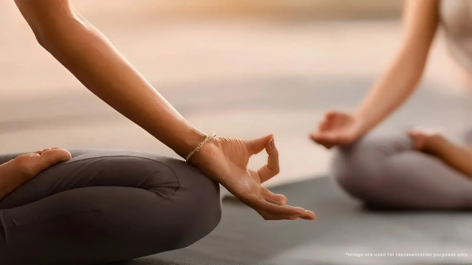 Brigade-Laguna-Apartment-in-Hebbal-North-Bangalore-Maditation-Deck