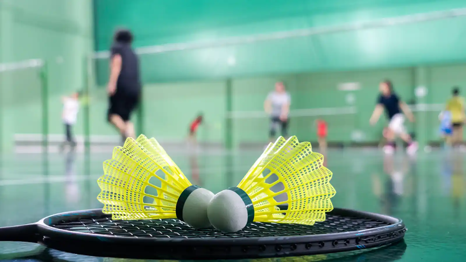 Brigade Altius Badminton indoor game