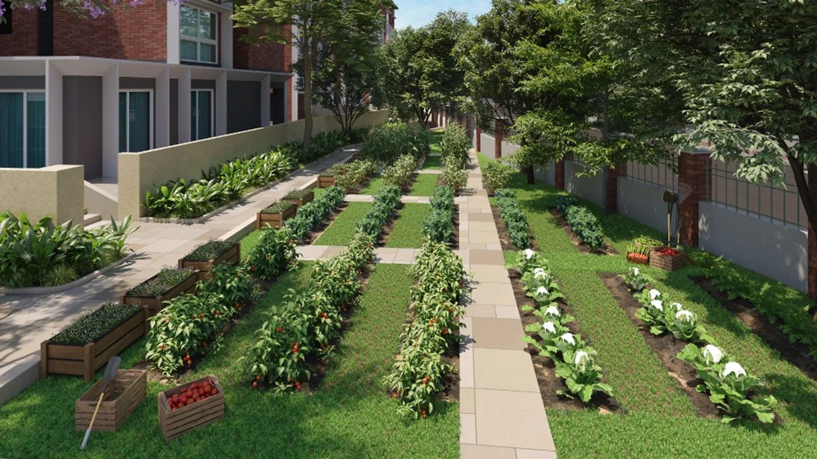Sobha-Arbor-Organic-Farm
